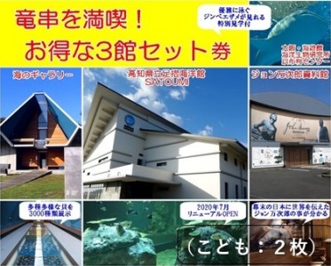 水族館・資料館・展示館　ぐるっと竜串　お得な3館入場券セット（小学生〜高校生までの子供２名用）高知県土佐清水市 観光チケット 旅行券 トラベル【R00115】