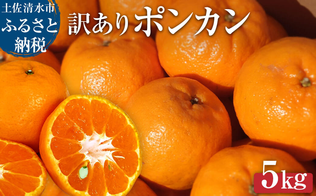 【訳あり】先行予約 ぽんかん５kg（オレンジ園） デコポンの親 みかん ミカン 果物 果実 柑橘 フルーツ ポンカン でこぽん おやつ デザート 甘い 美味しい 家庭用 名物 国産【R01080】