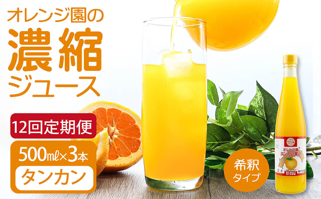 オレンジ園の濃縮ジュース タンカン 500ml 3本 12回定期便 希釈用 みかんジュース チューハイ用 ドリンク ジュース 柑橘類 蜜柑 みかん【J00119】