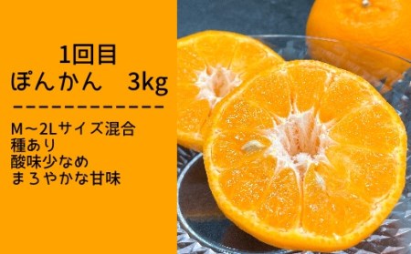 【先行予約】柑橘フルーツ４回定期便（ぽんかん３kg・麗紅３kg・文旦５kg・小夏３kg）みかん４種 果物 果実 柑橘 フルーツ デザート おやつ 美味しい  国産 ギフト プレゼント 贈答【J00018】