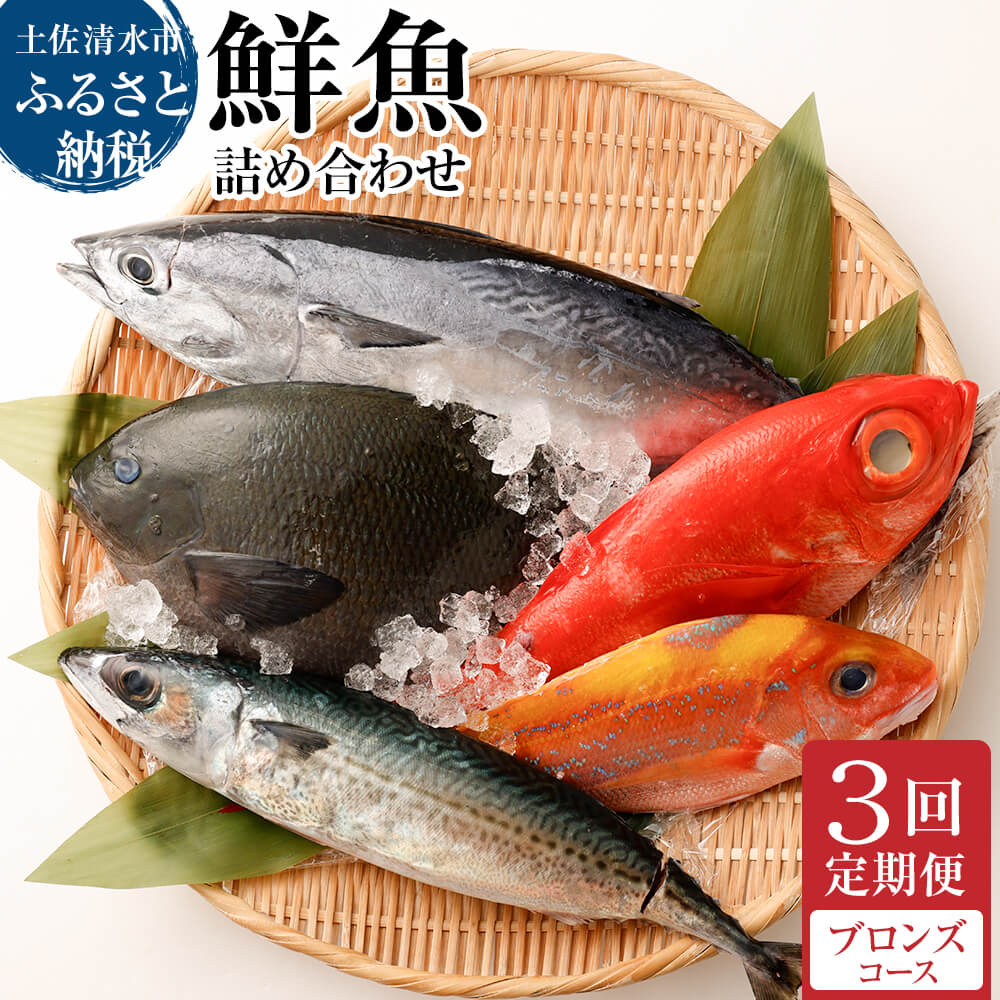 <3回定期便> 季節の鮮魚 おまかせお楽しみセット（ブロンズコース）天然魚 食べ比べ 魚介類 海鮮料理 魚 鮮魚 新鮮 刺し身 煮付け お楽しみ 定期便 3ヶ月 高知 【J00023】