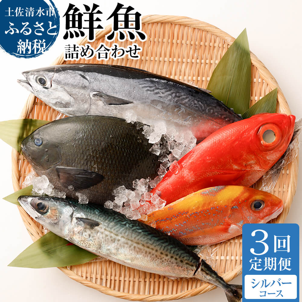 <3回定期便> 季節の鮮魚 おまかせお楽しみセット（シルバーコース）天然魚 食べ比べ 魚介類 海鮮料理 魚 鮮魚 新鮮 刺し身 煮付け お楽しみ 定期便 3ヶ月 高知【J00034】