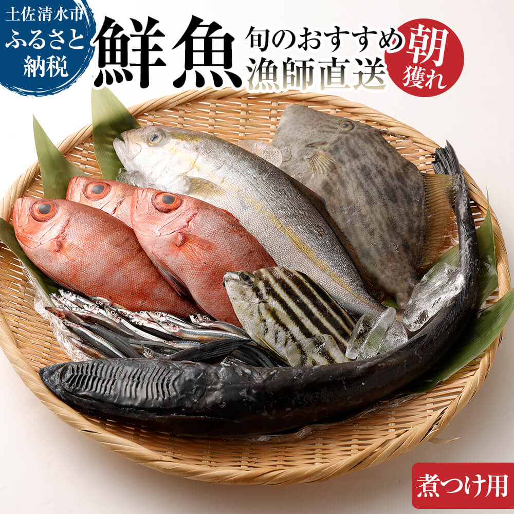 旬の朝獲れ鮮魚（煮つけ用）漁師おすすめセット【以布利定置網　漁師直送】朝獲れ 旬 煮付 煮魚 鮮魚 魚介 海鮮 魚 さかな せんぎょ 鮮魚セット 詰め合わせ おまかせ お任せ【S00820】