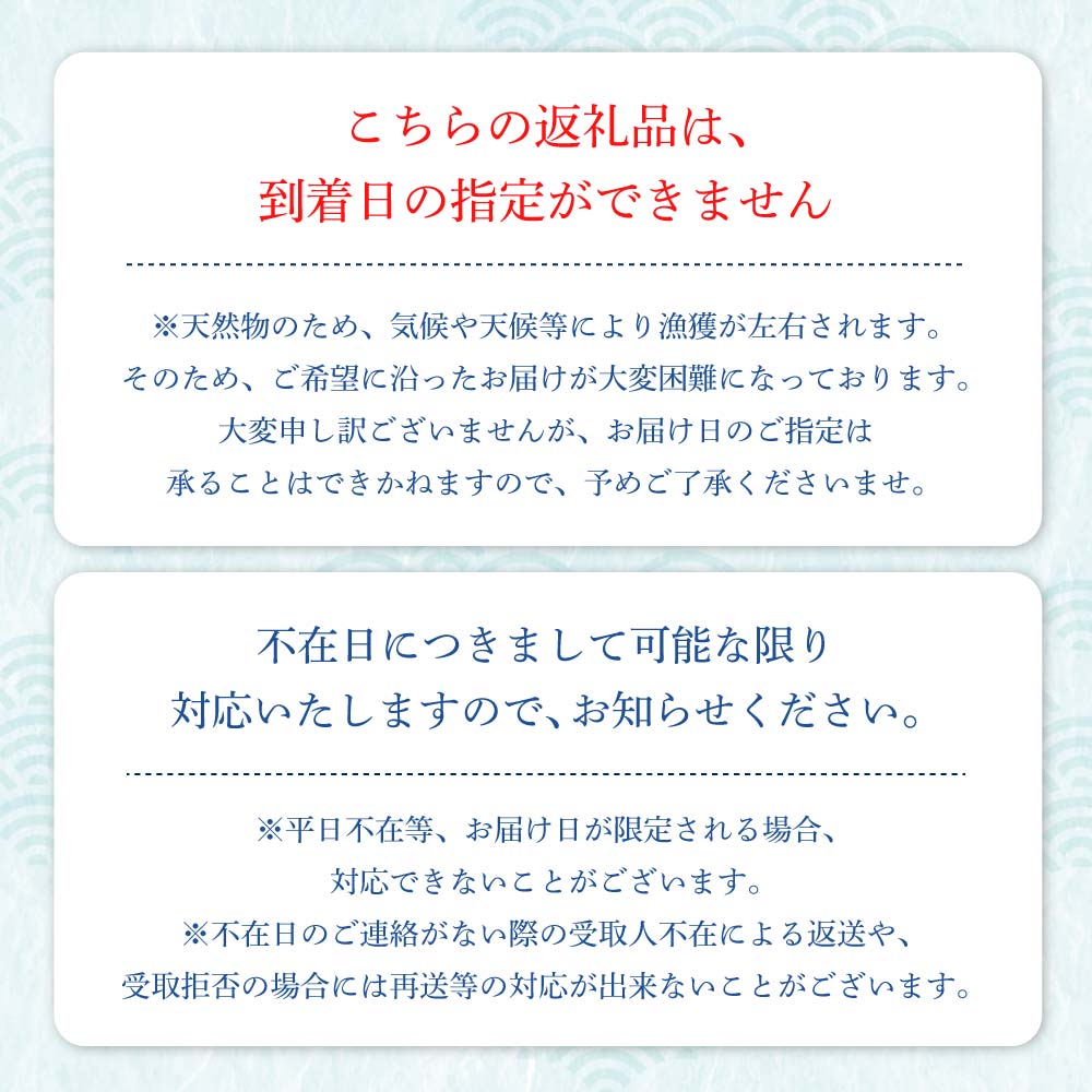 天然ブリ1本（5kg〜）下処理なし まるごと直送便【令和7年3月以降発送※着日指定不可】先行予約 鮮魚 刺身 たたき ぶりしゃぶ ぶり大根 ぶり 1本 1匹 1尾 天然 ブリ 鰤 冷蔵【R01211】