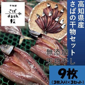 土佐清水発！さばの干物セット 無添加 天日干し 高知県産 鮮魚 冷凍 真空 簡単調理 季節限定【R00834】