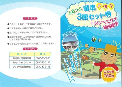 水族館・資料館・展示館　ぐるっと竜串　お得な3館入場券セット（小学生〜高校生までの子供２名用）高知県土佐清水市 観光チケット 旅行券 トラベル【R00115】