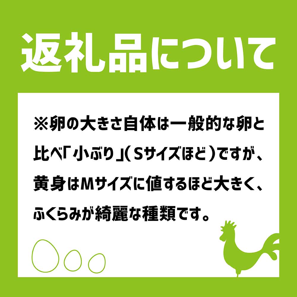 ましくんの完全放し飼い土佐ジローの卵 (12個入り×2箱)もみ殻梱包 ブランド卵 タマゴ たまご 卵 生卵 鶏卵 国産 地鶏 はなし飼い ご飯 おいしい 美味しい 濃厚 朝食 ランチ【R00444】