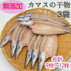 無添加 干物 カマスの開き３袋 合計９枚〜12枚入り ヘルシー おつまみ 惣菜 魚介 焼き魚 時短料理【R00823】