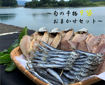 旬の干物９袋おまかせセット　無添加 お楽しみ 干し魚 健康食品 おかず 惣菜 おつまみ【R00771】