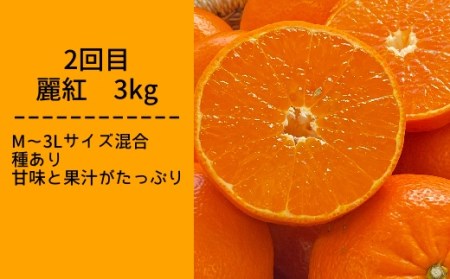 【先行予約】柑橘フルーツ４回定期便（ぽんかん３kg・麗紅３kg・文旦５kg・小夏３kg）みかん４種 果物 果実 柑橘 フルーツ デザート おやつ 美味しい  国産 ギフト プレゼント 贈答【J00018】