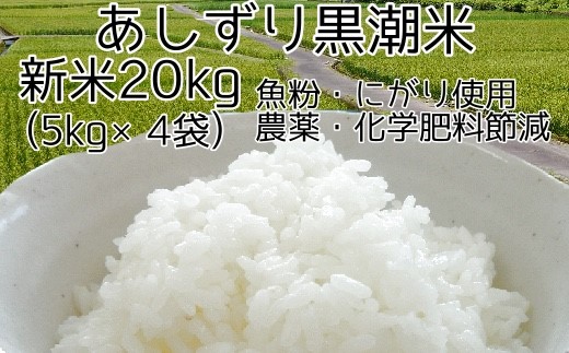 令和6年産 新米 あしずり黒潮米20kg（5kg×4袋）10キログラム 【コシヒカリ】 こしひかり 精米 白米 ブランド米 銘柄米 お米 おコメ 米 こめ ご飯 ごはん おにぎり 高知【R01308】