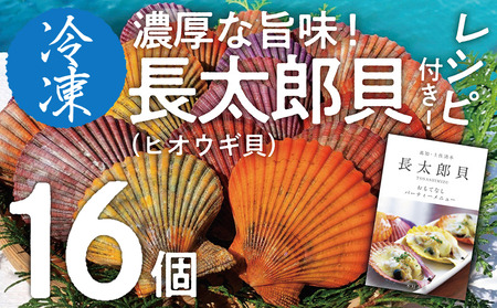  黒潮の恵 冷凍 ヒオウギ貝16個セット（ホタテの仲間）アウトドア キャンプ バーベキュー 魚貝 殻付 貝柱 酒蒸し 真空パック【R00803】