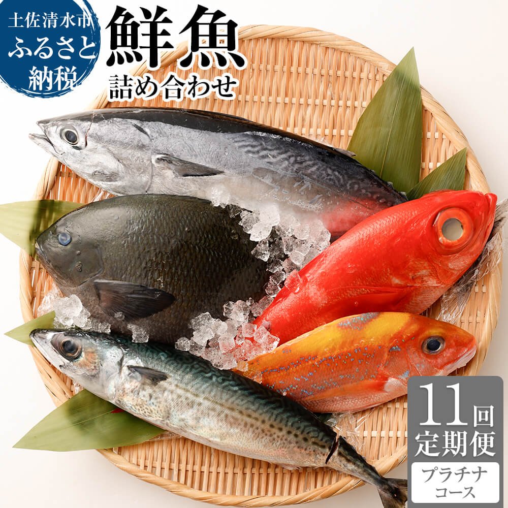 <11回定期便> 季節の鮮魚 おまかせお楽しみセット （プラチナコース） 天然魚 食べ比べ 魚介類 海鮮料理 魚 鮮魚 新鮮 刺し身 お楽しみ 定期便 11ヶ月 高知 【J00054】