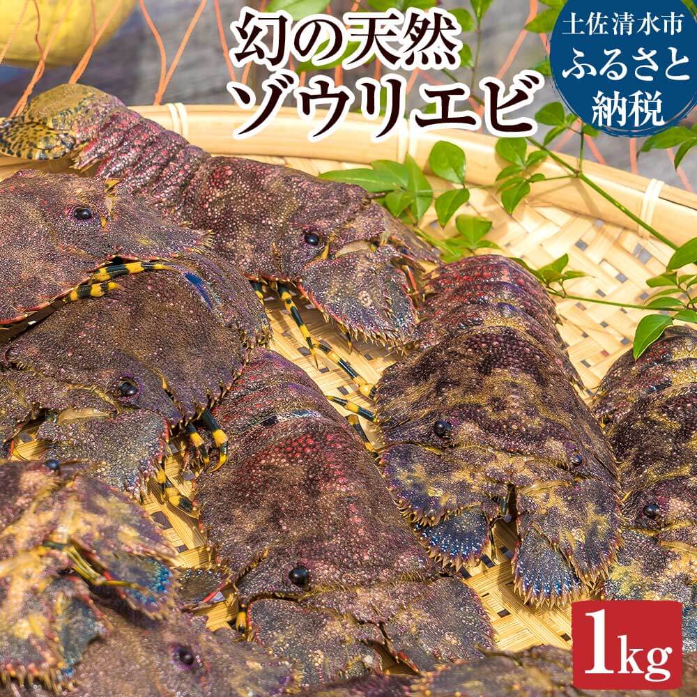 幻の天然ゾウリエビ１kg（サイズおまかせ）※着日指定不可※タビエビ 甲殻類 海老 地元ですら流通しない希少セミエビ科 先行予約 高知県産 エビ ゾウリエビ 冷蔵 配送 賞味期限が短い 新鮮 美味しい 希少 故郷納税【R00620】 