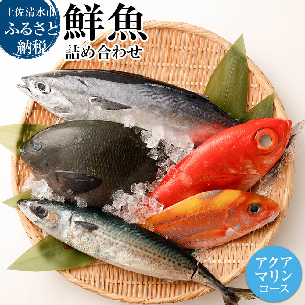 おまかせ！季節の鮮魚 お楽しみセット（アクアマリンコース）天然魚 食べ比べ 魚介類 海鮮料理 お楽しみ 詰め合わせ 鮮魚 魚 刺し身 煮付け 15000円 土佐清水市 高知【R01094】