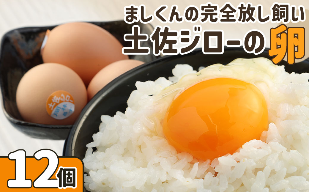 ましくんの完全放し飼い土佐ジローの卵（12個入り）もみ殻梱包 ブランド卵 タマゴ 玉子 たまご 生卵 鶏卵 土佐地鶏 濃厚 新鮮 食品 プレゼント ギフト 送料無料 【R00176】