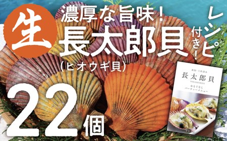 ヒオウギ貝22個セット（ホタテの仲間）アウトドア キャンプ 海鮮BBQ 魚貝  生 貝殻付 活 貝柱 酒蒸し バーベキュー【R00343】