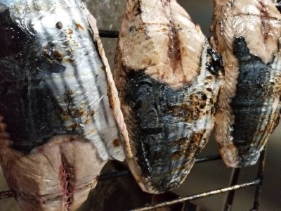 【先行予約】日戻りかつおのたたき（2～3節　約550ｇ）薬味３種・特製ぽん酢付　 鰹 高知 刺身 藁焼きタタキ【R00485】