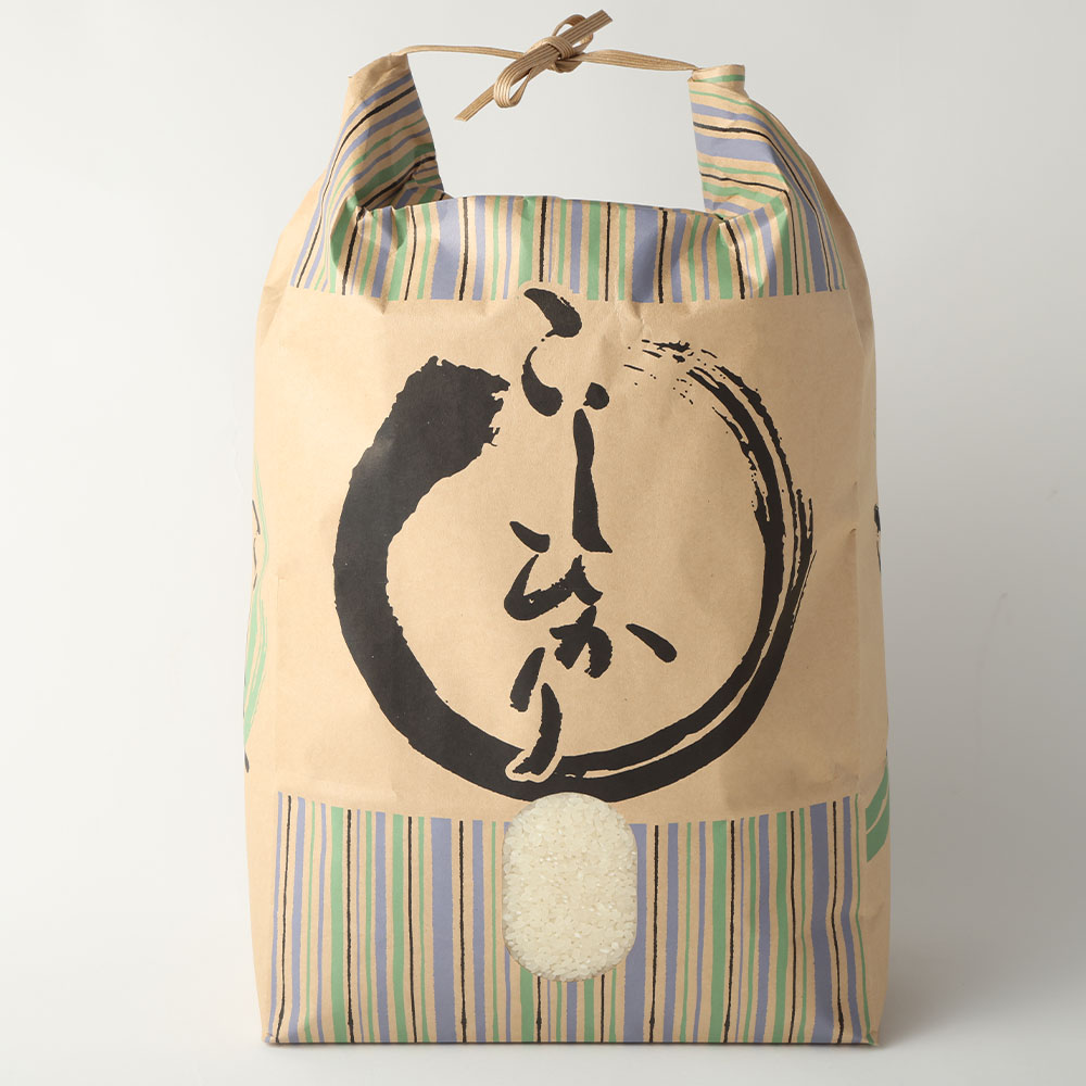 令和8年産 新米 コシヒカリ精米5kg（1袋）白米 お米 ご飯 米 kome こめ コシヒカリ こしひかり 高知県産 5キロ 故郷納税 返礼品 高知 土佐清水市 【R01667】