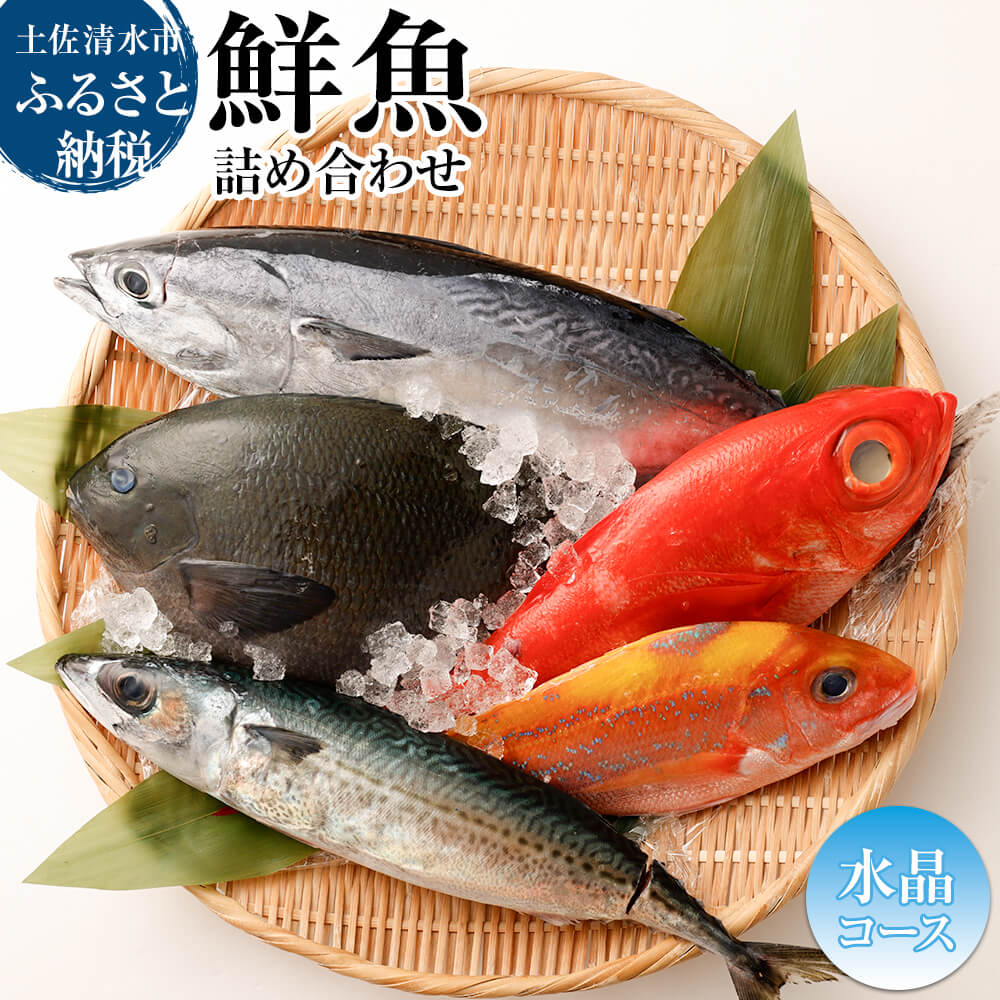 おまかせ！季節の鮮魚 お楽しみセット（2万円 水晶コース）天然魚 食べ比べ 魚介類 海鮮料理 詰め合わせ セット 鮮魚 お楽しみ おまかせ 新鮮 魚 季節の魚 美味しい 高知 土佐清水市【R01215】