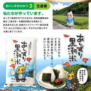 令和6年産 新米 あしずり黒潮米10kg（5kg×2袋）【コシヒカリ】精米 新米 白米 こめ コメ おコメ こしひかり ブランド米 10キロ 国産 送料無料 高知県【R01306】