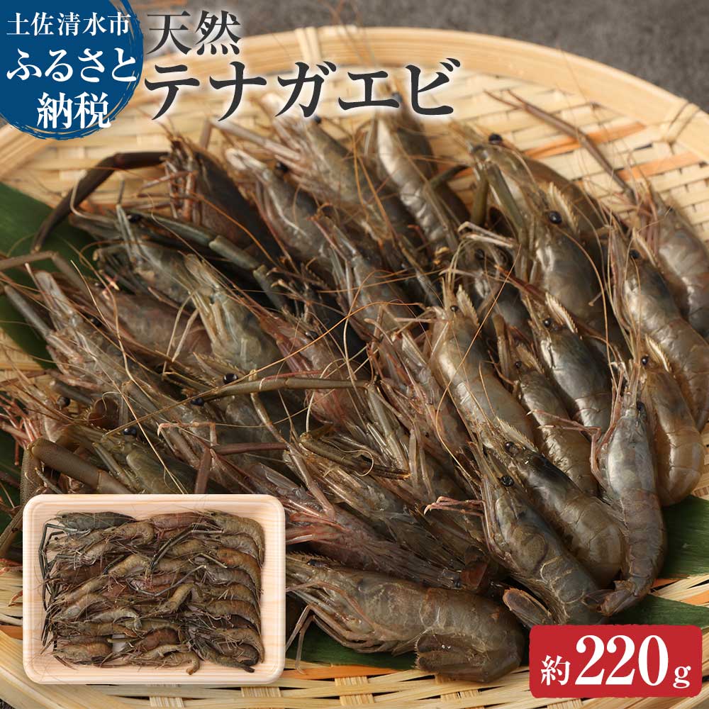 【先行予約】天然テナガエビ１パック（冷凍 約220g）川えび 素揚げ から揚げ 煮付け 甲殻類 冷凍 川 エビ 天然 テナガエビ 手長エビ 高知県産 冷凍配送 【R00026】