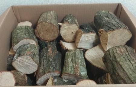 【先行予約：令和8年2月以降順次発送予定】ウバメガシの薪 1箱 18kg 長さミックス アウトドア ストーブ 暖炉 災害備蓄 防災グッズ 樫の木 広葉樹 育林事業 林業活動 自然保護【R01048】