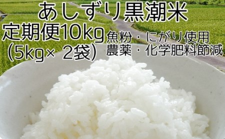 【5回定期便】あしずり 黒潮米10kg(5kg×2袋)×5回 定期便 5回 【コシヒカリ】 こしひかり 精米 白米 お米 おコメ 米 ブランド米 ご飯 ごはん おにぎり 高知県【J00181】