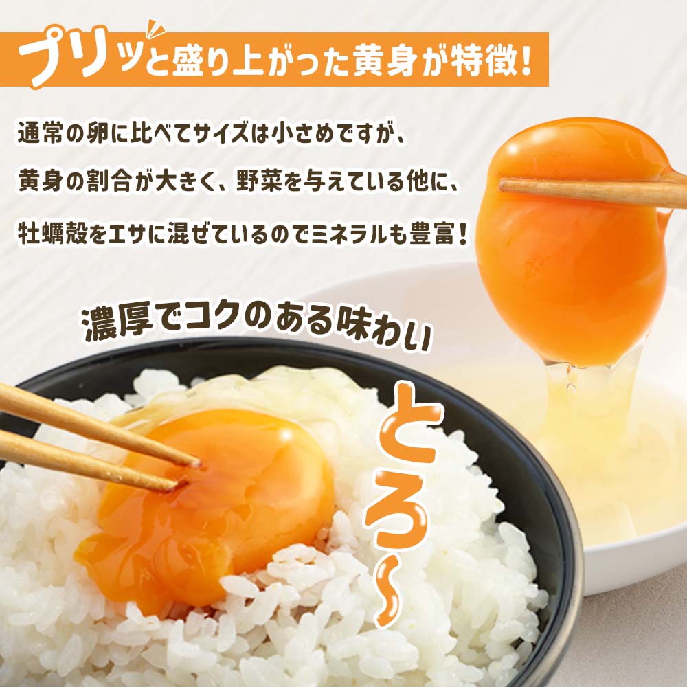 ããµãããšçŽçšãåäœãžããŒã®åµ å®æäŸ¿ïŒ12åå
¥ãÃ12åïŒãã¿æ®»æ¢±å
ãã©ã³ãåµ ã¿ã㎠ããŸã åµ æ¯æ 宿ã³ãŒã¹ åäœãžã㌠åµçŒã åµãããã¯ã 嵿ç éæç¡æ ãåãå¯ããJ00136ã