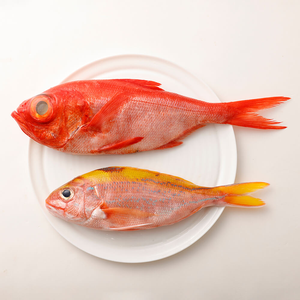 おまかせ！季節の鮮魚 お楽しみセット（琥珀コース）天然魚 食べ比べ 魚介類 海鮮料理 詰め合わせ セット 鮮魚 お楽しみ おまかせ 新鮮 魚 季節の魚 美味しい 高知 土佐清水市 【R01096】