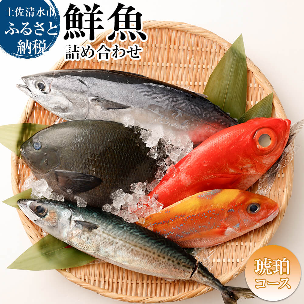 おまかせ！季節の鮮魚 お楽しみセット（琥珀コース）天然魚 食べ比べ 魚介類 海鮮料理 詰め合わせ セット 鮮魚 お楽しみ おまかせ 新鮮 魚 季節の魚 美味しい 高知 土佐清水市 【R01096】