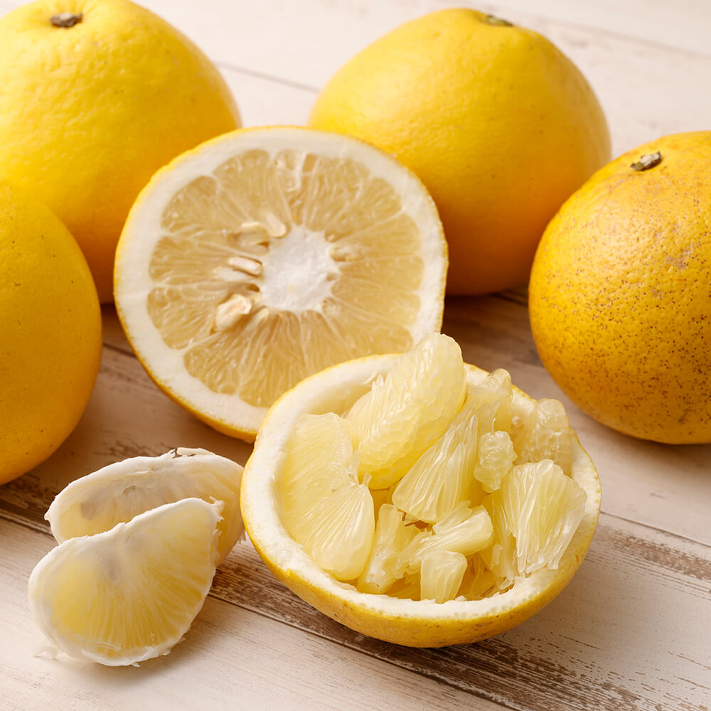 ＜訳あり＞オレンジ園の土佐文旦５kg  柑橘 フルーツ ミカン みかん 蜜柑 ザボン ぶんたん ブンタン 果物 くだもの 果汁 おやつ デザート 食品 甘い 酸味【R01085】