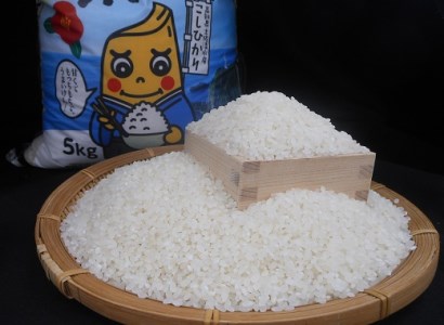 【5回定期便】あしずり 黒潮米10kg(5kg×2袋)×5回 定期便 5回 【コシヒカリ】 こしひかり 精米 白米 お米 おコメ 米 ブランド米 ご飯 ごはん おにぎり 高知県【J00181】