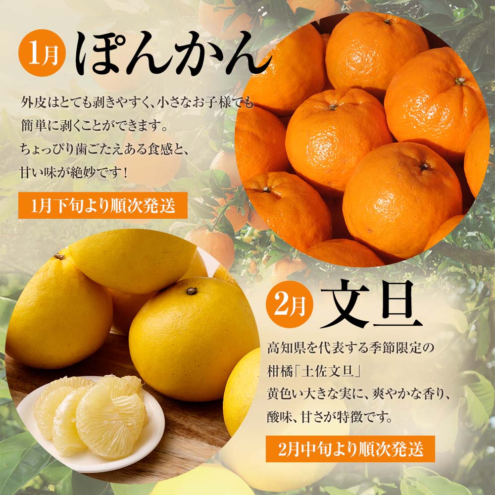 ã什åïŒå¹ŽçºéãïŒ èš³ããïŒ ãªã¬ã³ãžåã®ææ©3çš®ïŒãœãããã»ææŠã»å°å€ïŒå5kg 3åå®æäŸ¿ ãã³ã«ã³ ã¶ããã ããªã€ æç© èæ ã¿ãã ãã«ã³ ææ© ãã«ãŒã ãã¶ãŒã åœç£ åžžæž© é
éãJ00102ã