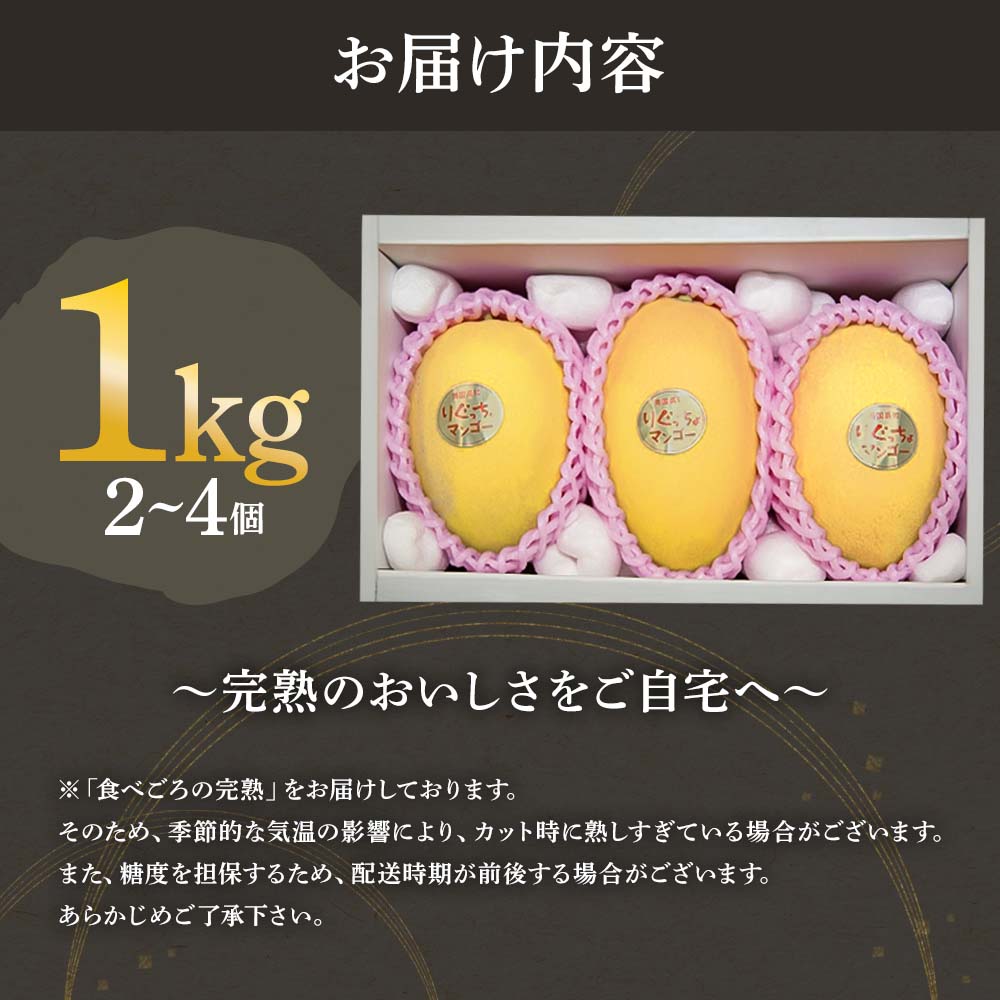 先行予約 レア品種 完熟金蜜マンゴー１kg（2個〜4個入り） 南国フルーツ 金蜜 きんみつ種 糖度20度以上 高糖度 果物 果汁 濃厚 ジューシー デザート ギフト プレゼント 送料無料【R00627】