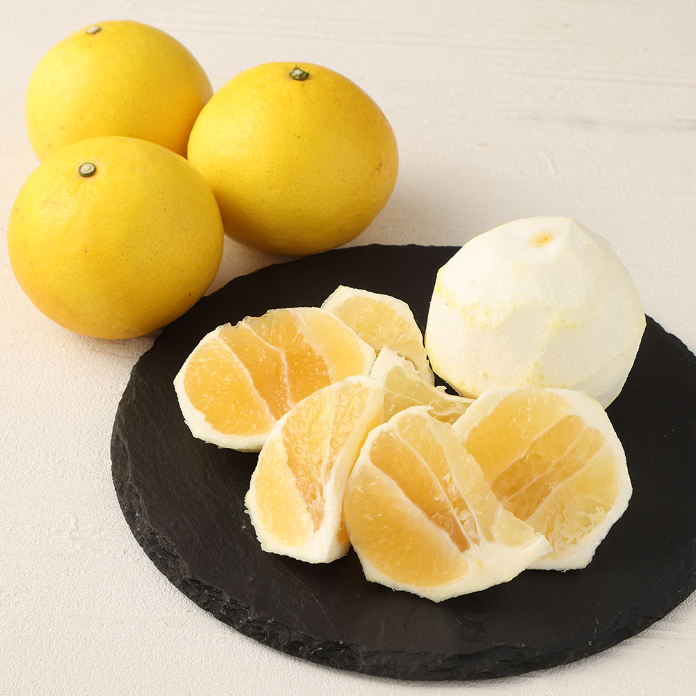 <訳あり>谷川果樹園の小夏3kg 日向夏 みかん 柑橘 フルーツ こなつ ニューサマーオレンジ  果物 美味しい ワケあり 訳 自宅用 おやつ  高知 【R01146】