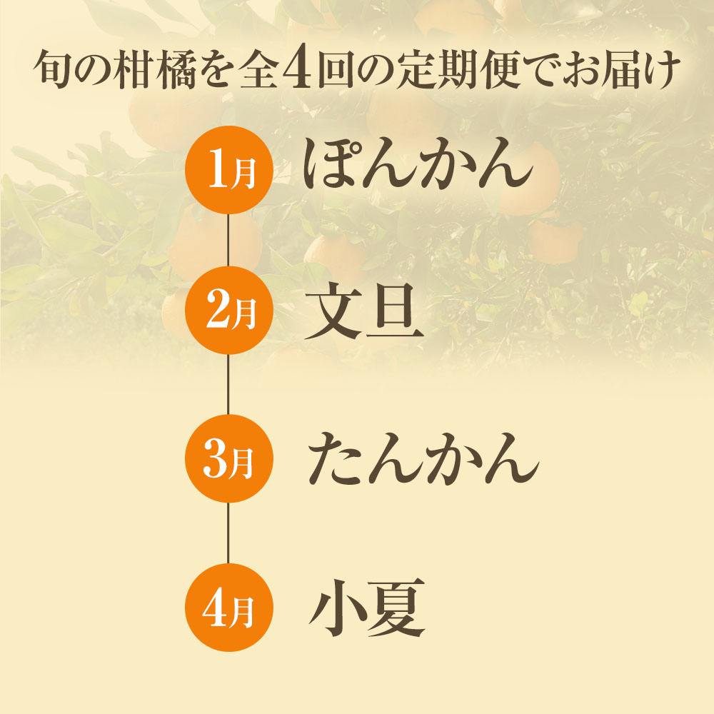 【先行予約】＜ 訳あり＞ オレンジ園の柑橘4種（ぽんかん・文旦・タンカン・小夏）各5kg 4回定期便 ポンカン ぶんたん 果物 蜜柑 みかん ミカン 柑橘 フルーツ デザート 常温 配送【J00100】