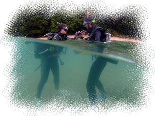 絶景竜串海中公園！ダイビング１ボート体験券（1名分）【初心者歓迎】チケット マリンスポーツ 観光【R01524】