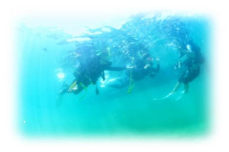 絶景竜串海中公園！ダイビング１ボート体験券（1名分）【初心者歓迎】チケット マリンスポーツ 観光【R01524】