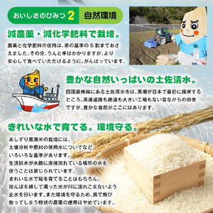 令和6年産 新米 あしずり黒潮米10kg（5kg×2袋）【コシヒカリ】精米 新米 白米 こめ コメ おコメ こしひかり ブランド米 10キロ 国産 送料無料 高知県【R01306】