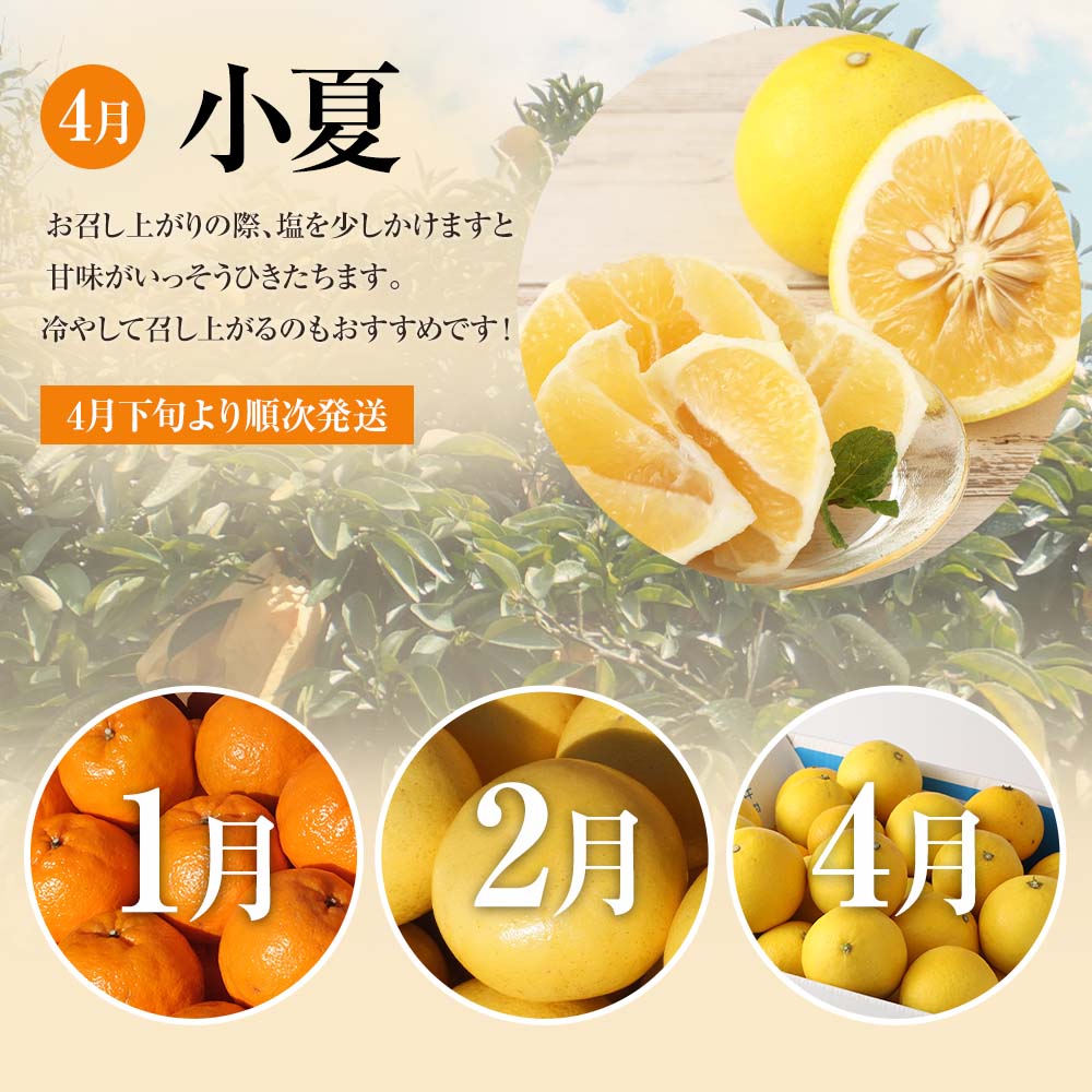 ã什åïŒå¹ŽçºéãïŒ èš³ããïŒ ãªã¬ã³ãžåã®ææ©3çš®ïŒãœãããã»ææŠã»å°å€ïŒå5kg 3åå®æäŸ¿ ãã³ã«ã³ ã¶ããã ããªã€ æç© èæ ã¿ãã ãã«ã³ ææ© ãã«ãŒã ãã¶ãŒã åœç£ åžžæž© é
éãJ00102ã