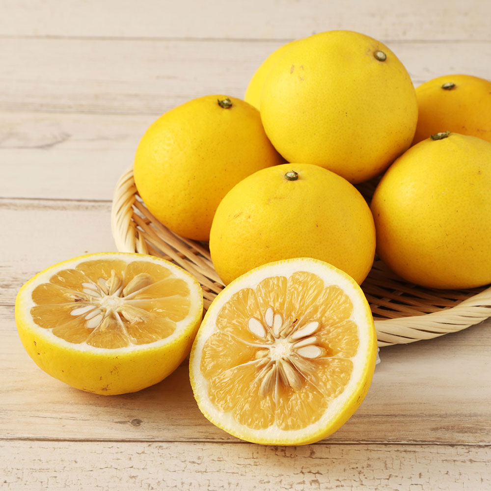 <訳あり>谷川果樹園の小夏3kg 日向夏 みかん 柑橘 フルーツ こなつ ニューサマーオレンジ  果物 美味しい ワケあり 訳 自宅用 おやつ  高知 【R01146】