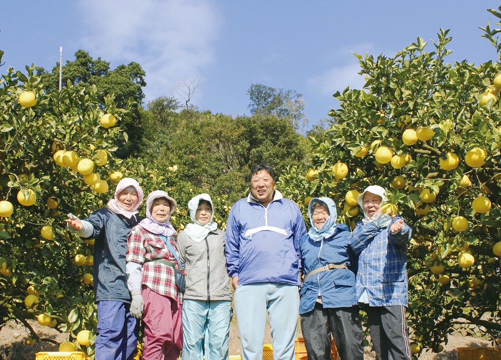 【先行予約】＜訳あり＞早川農園の土佐文旦（５kg） 柑橘 フルーツ みかん ザボン ぶんたん ブンタン 果実 果物 くだもの フルーツ デザート 柑橘類 おやつ わけあり 家庭用 【R00131】