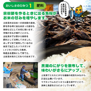 令和6年産 新米 あしずり黒潮米10kg（5kg×2袋）【コシヒカリ】精米 新米 白米 こめ コメ おコメ こしひかり ブランド米 10キロ 国産 送料無料 高知県【R01306】