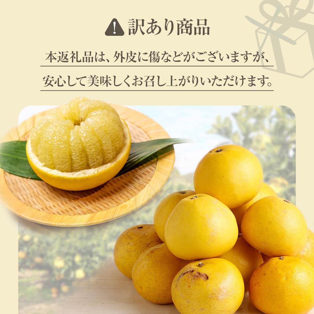 ã什åïŒå¹ŽçºéãïŒ èš³ããïŒ ãªã¬ã³ãžåã®ææ©3çš®ïŒãœãããã»ææŠã»å°å€ïŒå5kg 3åå®æäŸ¿ ãã³ã«ã³ ã¶ããã ããªã€ æç© èæ ã¿ãã ãã«ã³ ææ© ãã«ãŒã ãã¶ãŒã åœç£ åžžæž© é
éãJ00102ã