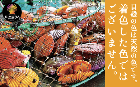 黒潮の恵 冷凍 ヒオウギ貝16個セット（ホタテの仲間）アウトドア キャンプ バーベキュー 魚貝 殻付 貝柱 酒蒸し 真空パック【R00803】