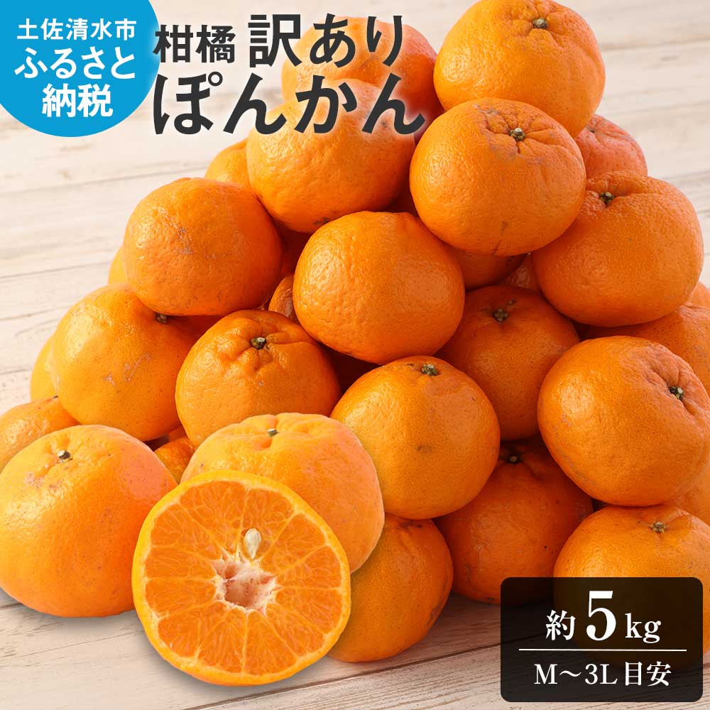 【R8年発送】【訳あり】ぽんかん５kg（谷川果樹園）デコポンの親  みかん 蜜柑 ミカン 不知火 しらぬい 柑橘 かんきつ ポンカン フルーツ オレンジ 果物 くだもの 果汁 甘い【R01141】