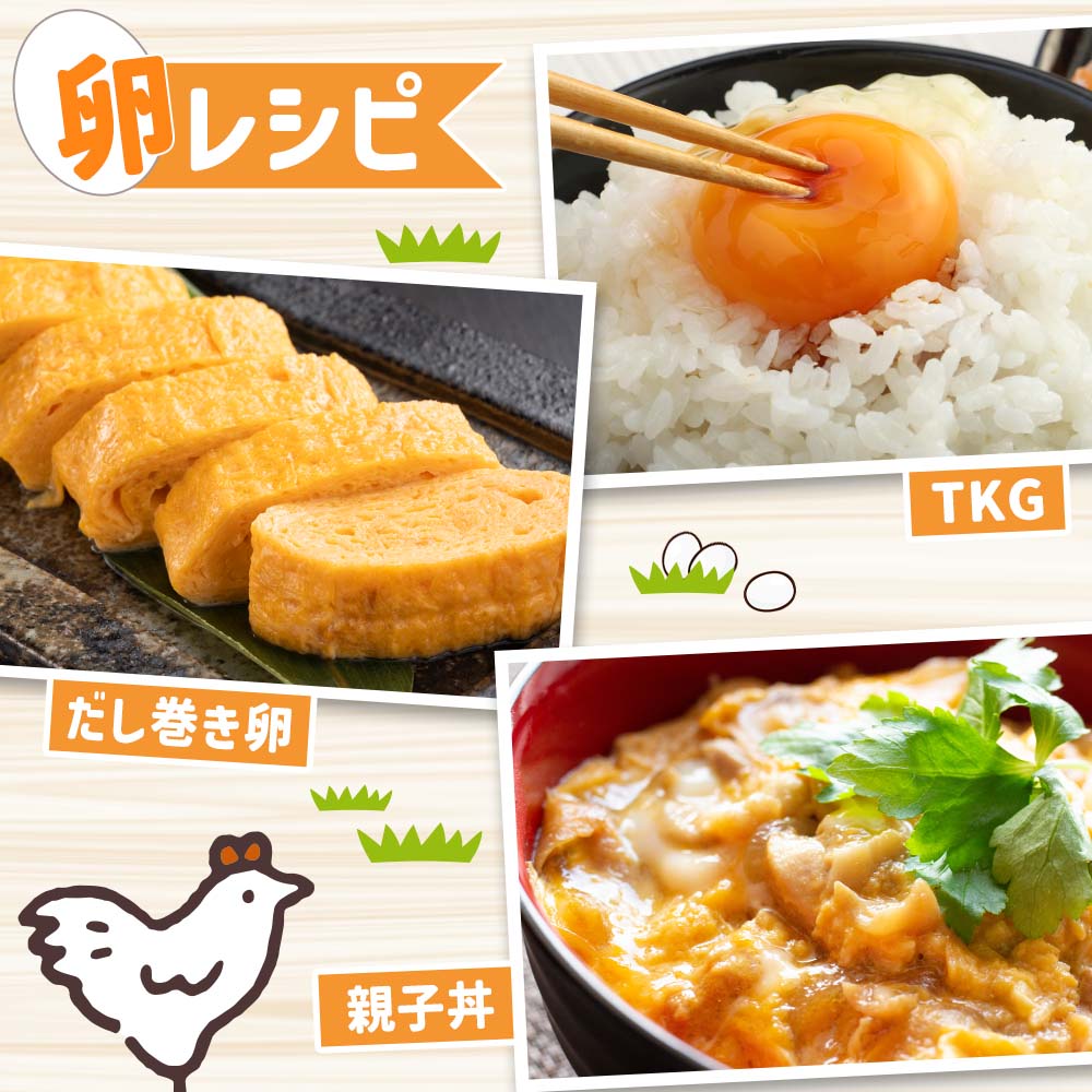 ããµãããšçŽçšãåäœãžããŒã®åµ å®æäŸ¿ïŒ12åå
¥ãÃ12åïŒãã¿æ®»æ¢±å
ãã©ã³ãåµ ã¿ã㎠ããŸã åµ æ¯æ 宿ã³ãŒã¹ åäœãžã㌠åµçŒã åµãããã¯ã 嵿ç éæç¡æ ãåãå¯ããJ00136ã