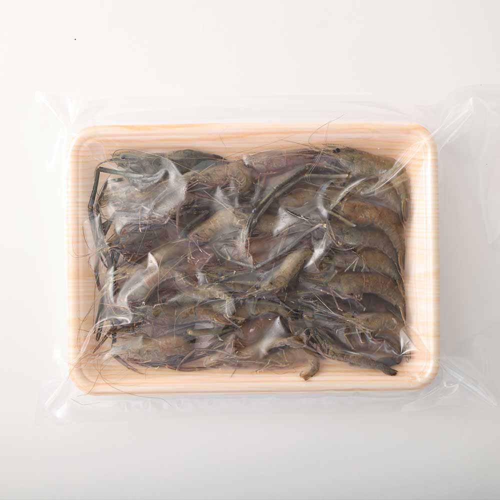 【先行予約】天然テナガエビ１パック（冷凍 約220g）川えび 素揚げ から揚げ 煮付け 甲殻類 冷凍 川 エビ 天然 テナガエビ 手長エビ 高知県産 冷凍配送 【R00026】