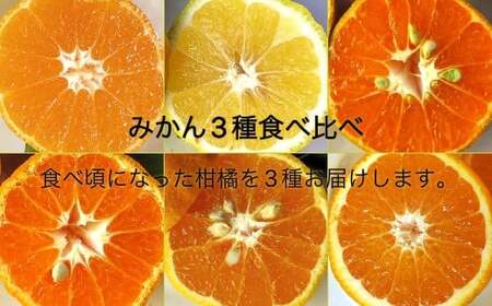 令和7年12月下旬から発送 先行受付品 みかん３種（計３kg）おまかせ食べ比べセット【訳あり 栽培期間中無農薬】 お楽しみ 柑橘 ミカン 果物 果実 フルーツ おやつ デザート 健康 美味しい ワケアリ ご自宅用 国産【R01352】